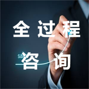 全過(guò)程工程咨詢(xún)